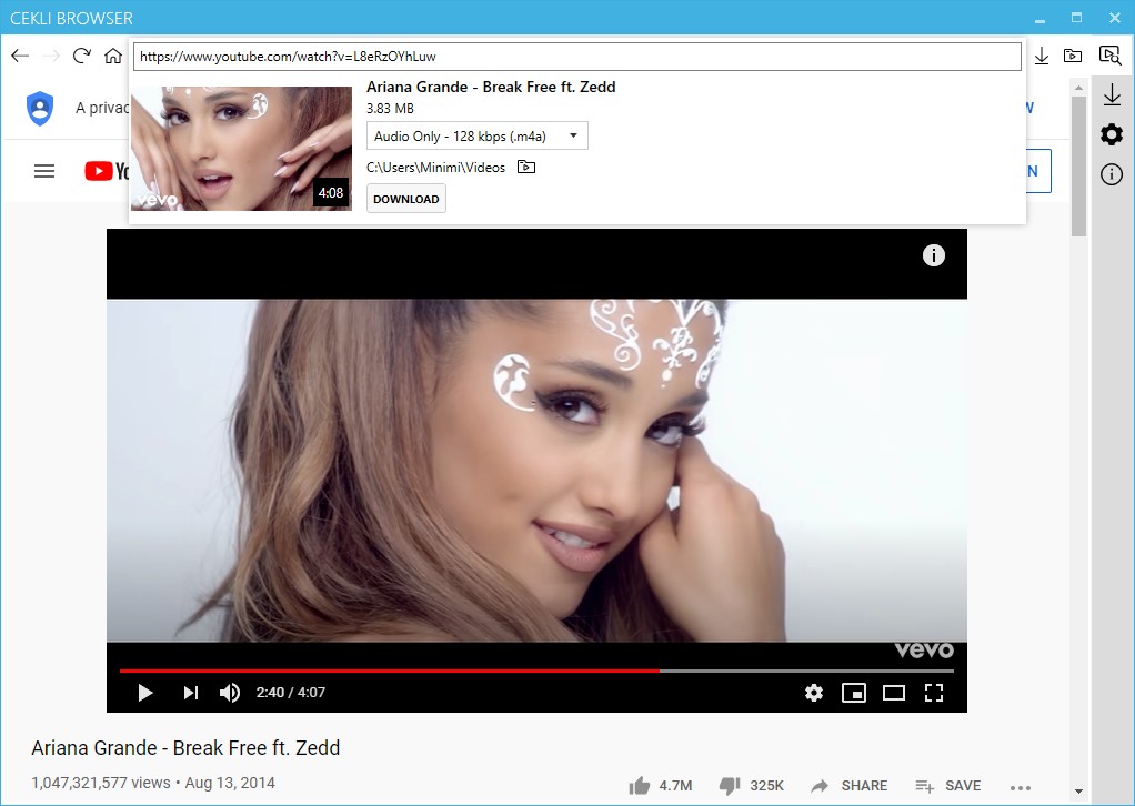Cekli Video Browser Screenshot